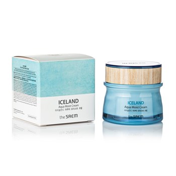 The SAEM Крем для лица увлажняющий Iceland Aqua Moist Cream 60мл 01677 - фото 8630