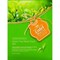 Entel Green Tea Mask Pack Тканевая маска с зеленым чаем !СРОКИ ГОДНОСТИ 08.2023! 02219 - фото 6561