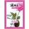Крем-соль для тела дивная роза, лифтинг эффект, salt doctoral 50 г 04508 - фото 7407